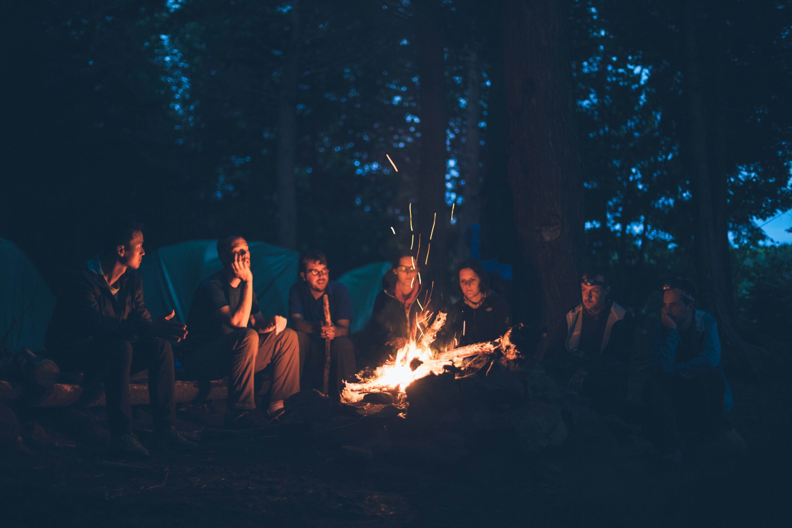 Kinder und Erwachsene bei einem kreativen Outdoor-Workshop mit Skizzenwand, im Schatten großer Bäume beim Festival von Entwicklungsgestalter e.V.